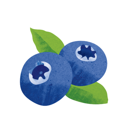 Illustration of two blueberries and two leaves
